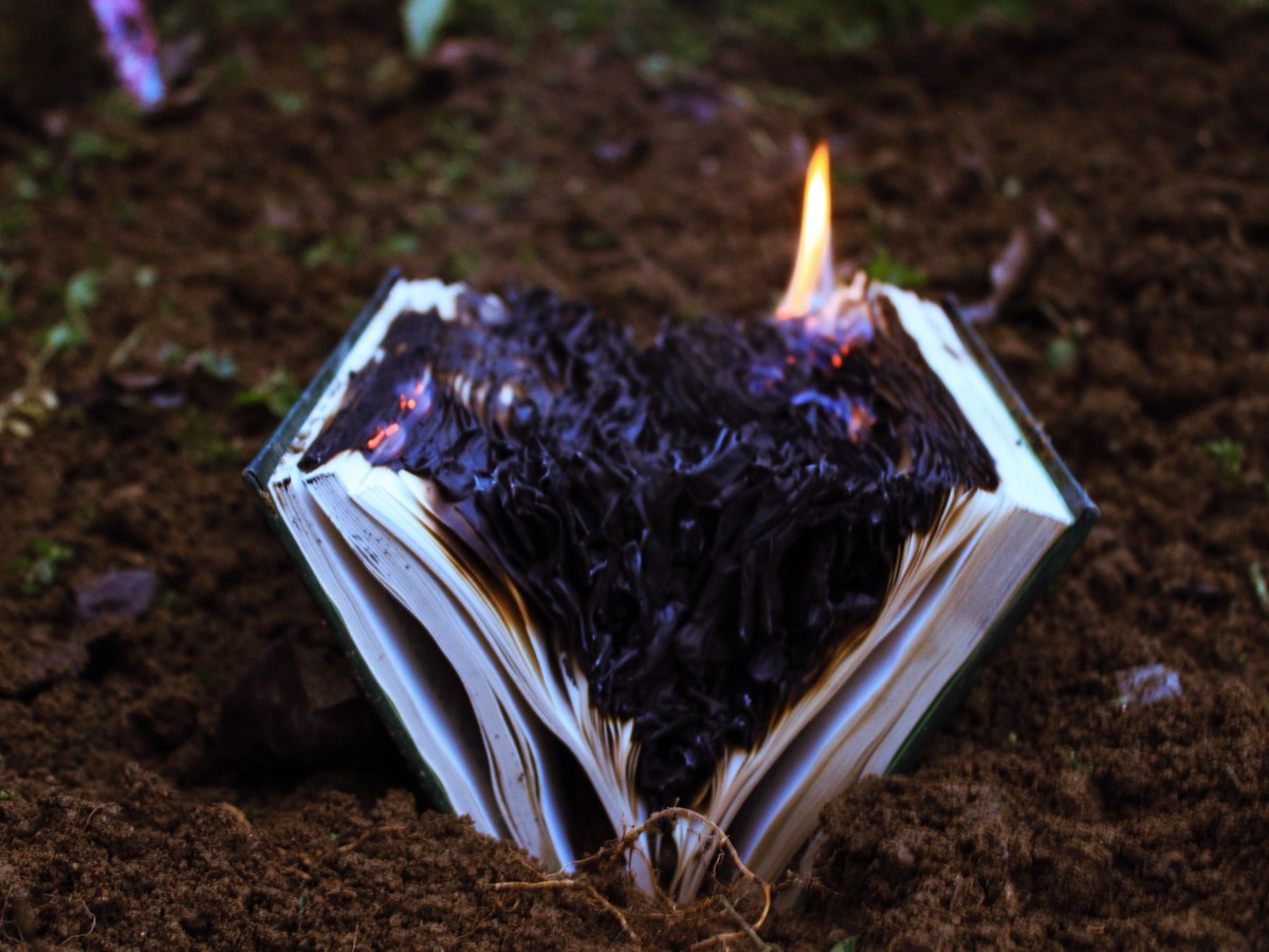 MOMENTUM: FOCUS SPELLS –&nbsp;extroversion