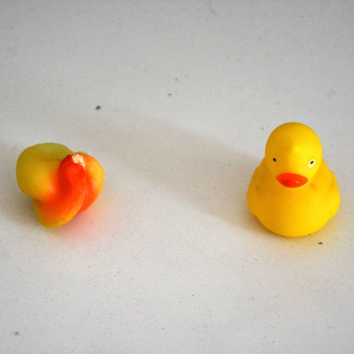 RITUALITY : Memory for a&nbsp;fire