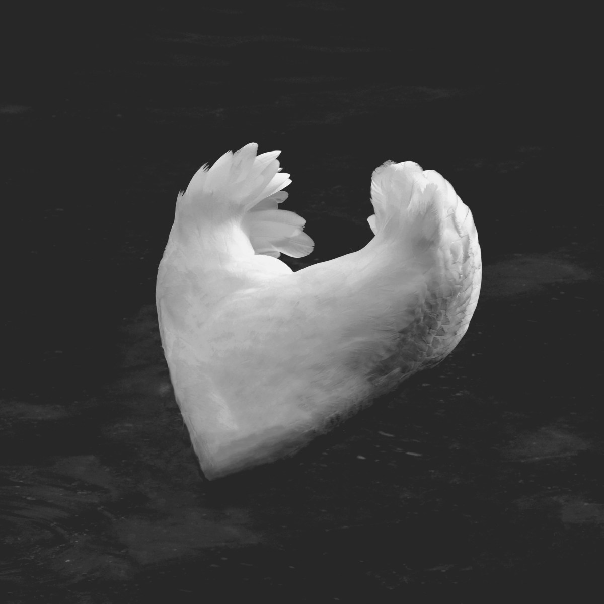 RITUALITY : I need a Feeling like&nbsp;this