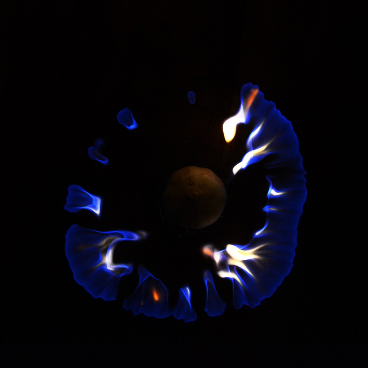 RITUALITY : Fire&nbsp;Ritual_11.11